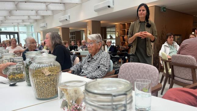 Entdeckt, was in Wildkräutern steckt